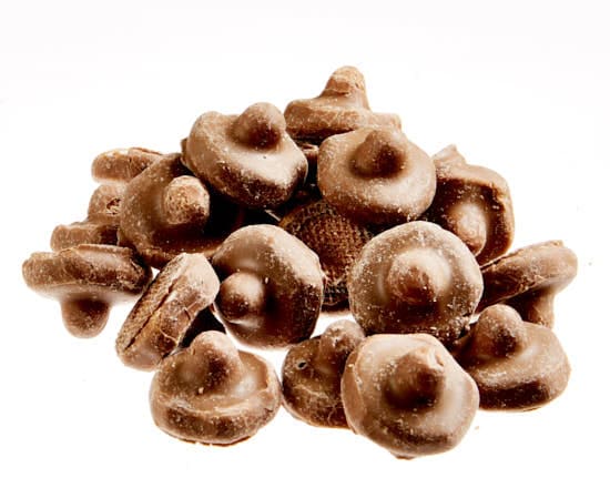 Chocolate Coated Mushroom 100g